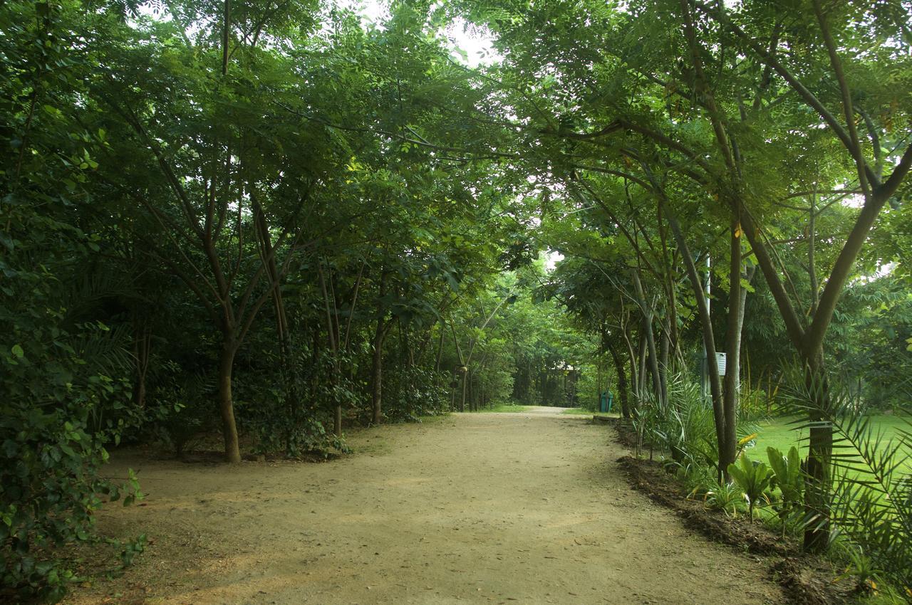The Riverwood Forest Retreat Pench Khawāsa Eksteriør billede