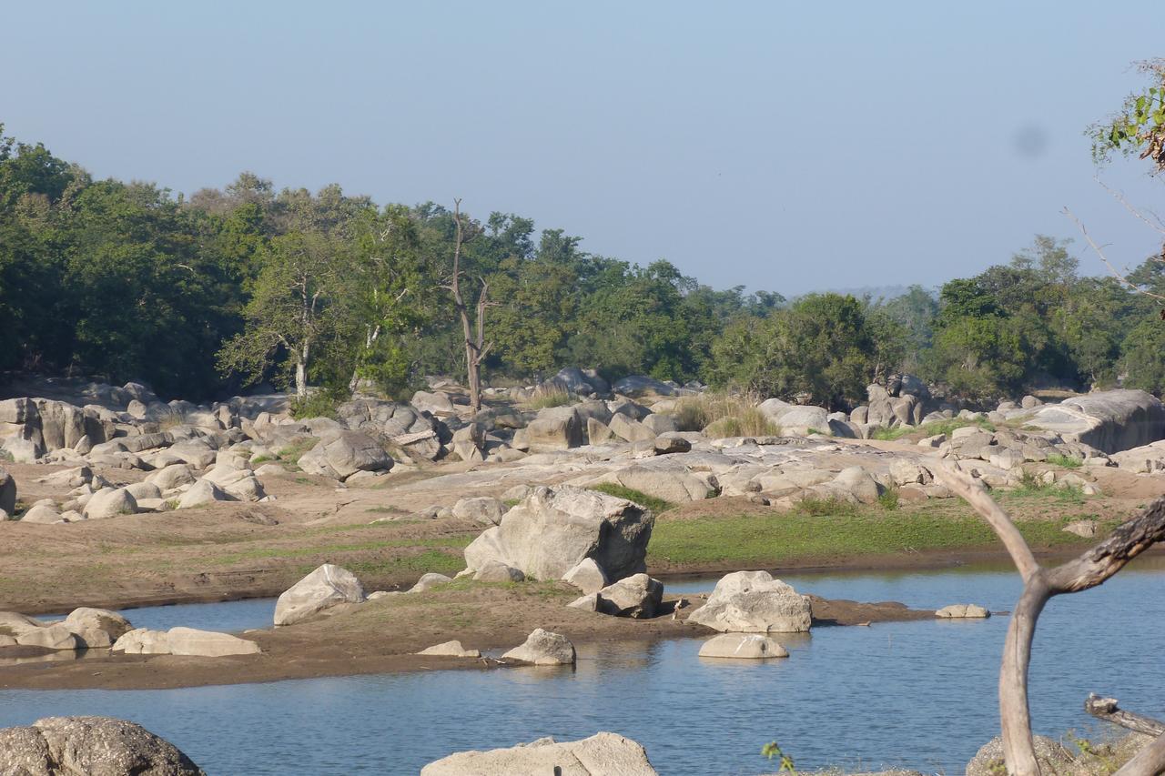 The Riverwood Forest Retreat Pench Khawāsa Eksteriør billede